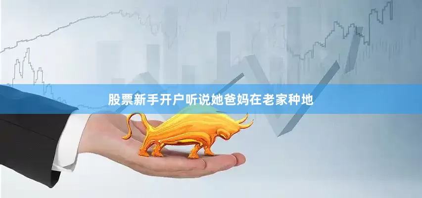 股票新手开户听说她爸妈在老家种地
