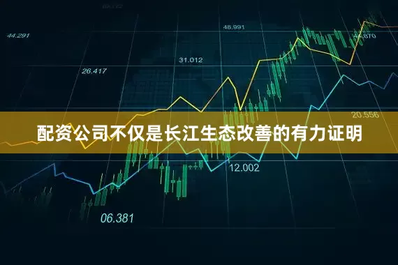 配资公司不仅是长江生态改善的有力证明